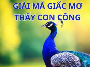 giai ma chi tiet giac mo thay cong