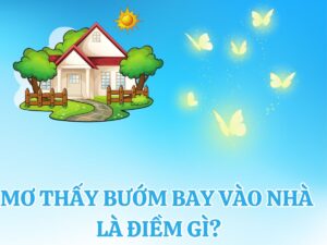 giai ma giac mo thay buom bay vao nha