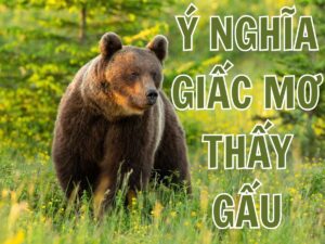 giai ma y nghia giac mo thay gau