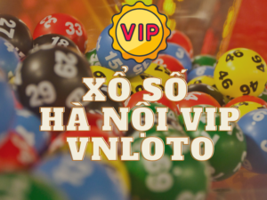 huong dan xo so ha noi vip vnloto