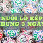 nuoi lo kep khung 3 ngay 1