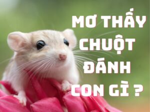 mo thay chuot danh con gi