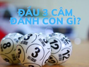 dau 3 cam danh con gi