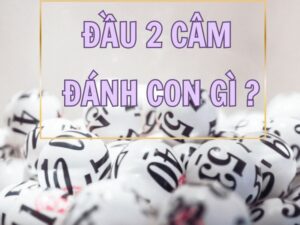 dau 2 cam danh con gi